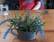 20180227_121705.jpg