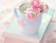 img-e06e7bfe6ee16eaeaa2161d47b12c2ff.jpg
