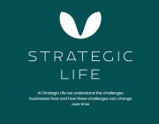 strategic life ss.png