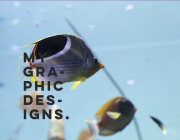 inspired 1 - design.png