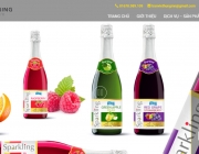 thiet-ke-website-cong-ty-thiet-ke-bao-bi-packagingvietnam.png