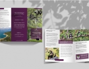 lovinglive brochure clt.jpg