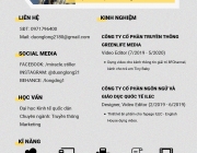 CV.png