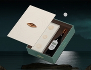 Opt1 - Mockup 3.jpg