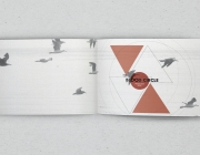 book cover.jpg