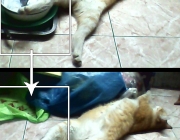 image-editing1.jpg