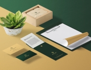 sonthuy brand mockup-1920.jpg