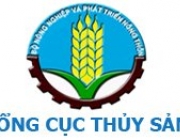 tong_cuc_thuy_sants634914724707770000.jpg