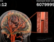 Custom Medical Animation.jpg