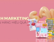 banner-top-1.png