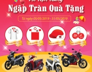 To roi TNP 201905.png