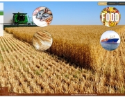 interfood.png
