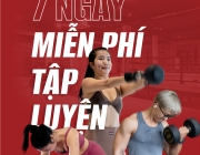 7-ngay.jpg