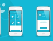 app-nivo-fibu-02.jpg
