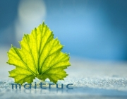 8332e69f-5ed8-4c09-8b15-5a0f6e8a2da4.png