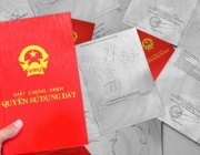 lam-so-do-gia-lam-so-hong-gia (4).png