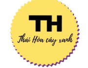 logo ch&egrave;n anh-video lớn.png