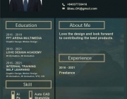 CV LDM.jpg