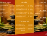 BROCHURE1.jpg