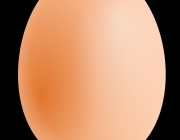 egg_PNG5.png