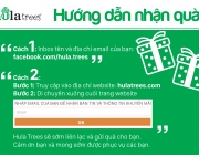 HUONG DAN NHAN QUA HULA TREES.jpg