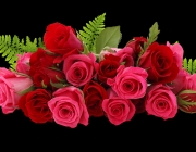 pngimg.com - rose_PNG67024.png