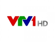 vtv1-hd.png