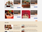 Linh Chi BonSai Phong Thủy.png
