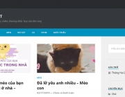 nhacuapet_screenshoot.png