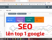 SEO DR TRI.png