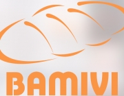 BAMIVI_Option_2.png