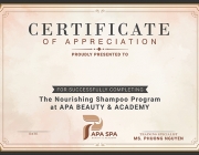 APS Certificate_English_in...png