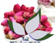 Thiet ke Thương hieu.jpg