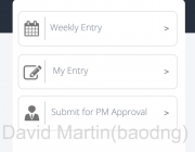 timesheet_consultantview.png