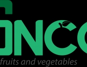 LOGO SNCC-05.png