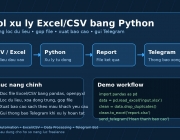 portfolio_excel_csv_python.jpg
