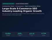 Ecommerce_Case_Study_thumbnail.png