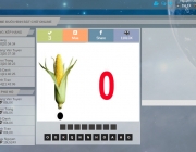 vns.png