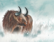 highland_cow_by_xuanvo_deh90ul.jpg