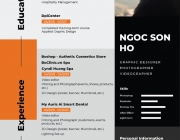 CV - Ho Ngoc Son.png