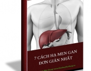 Bia-sach-3d-7cach-ha-men-gan.png