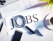 job-search.jpeg
