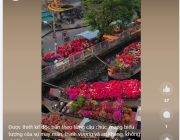Screenshot 2024-01-15 180405.png