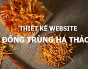 thiet-ke-website-dong-trung-ha-thao.png