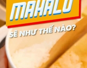 rsz_fish.png