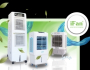 thiet-ke-website-ifan.png