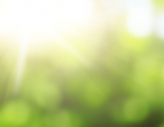 02_menu-daylight.jpg