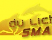 Logo_Dulichsmart.jpg