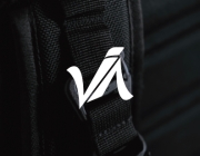 logo vavi.png