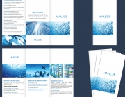 avalue brochure.jpg